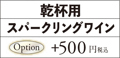 オプション500円