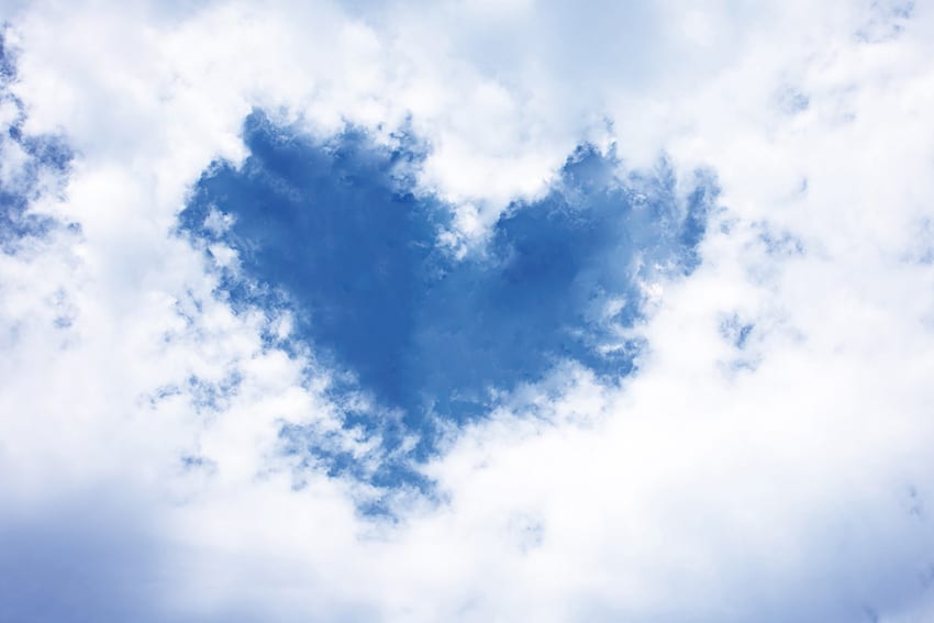 家族写真 七五三